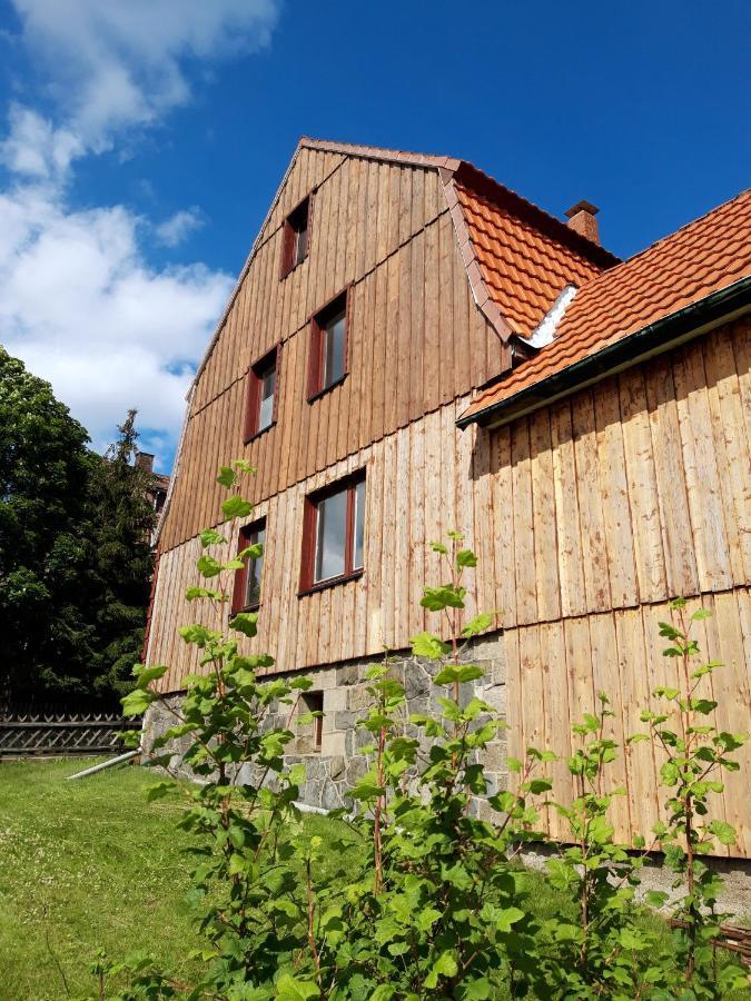 Ferienhaus Im Bergdorf Hohegeiß Exteriör bild